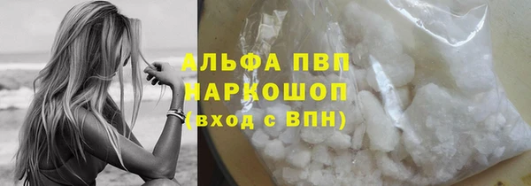 прущие грибы Нефтекумск