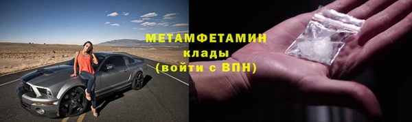 прущие грибы Нефтекумск